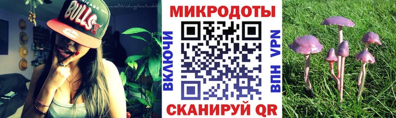 Купить где  Мариинск  Галлюциногенные грибы мицелий 